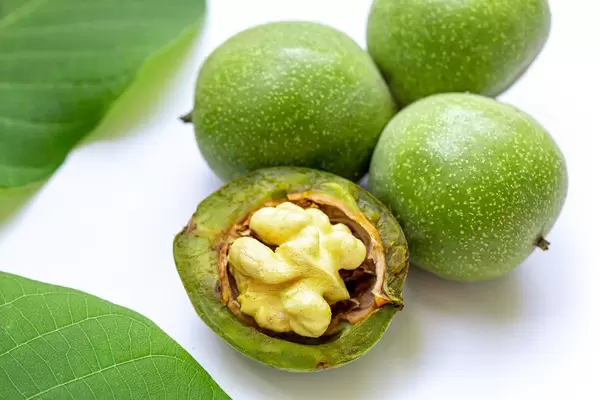 Whole and broken walnuts young with green leaves