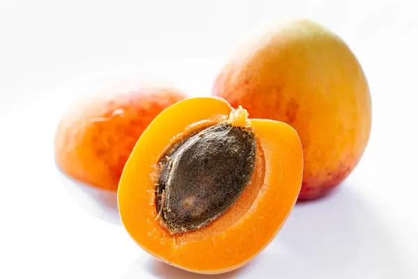 Whole apricot and halves on white background