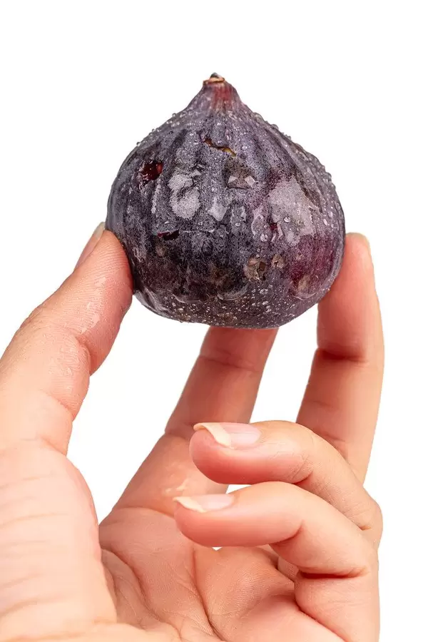 Whole figs with water drops in a female hand