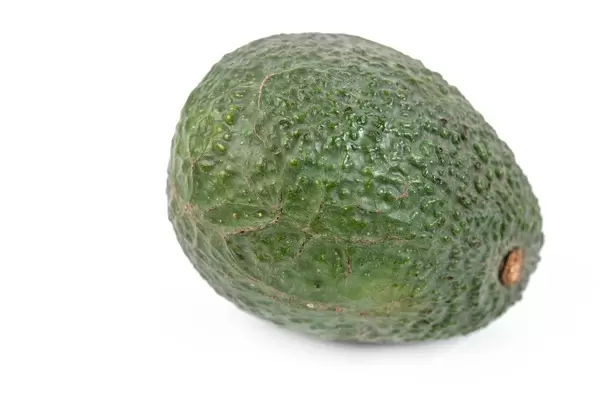 Whole fresh Avocado above white background