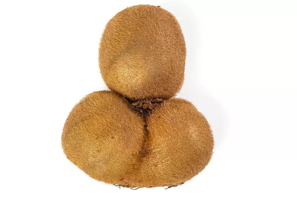 Whole kiwi fruit on white background