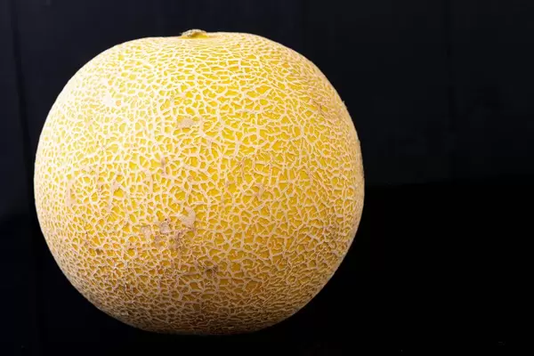 Whole Melon isolated above black background (Flip 2019)