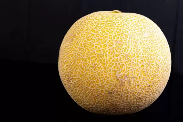Whole Melon isolated above black background
