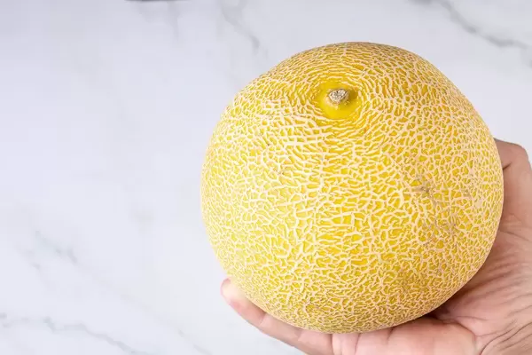 Whole Melon isolated above grey marble table (Flip 2019)