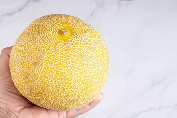Whole Melon isolated above grey marble table