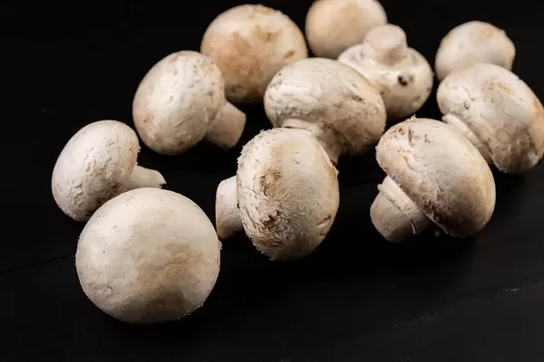 Whole mushrooms on the black background