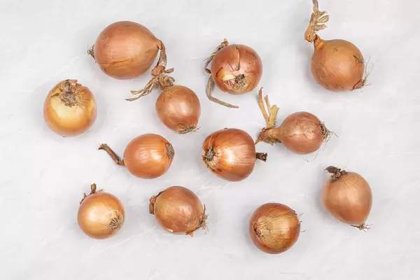 Whole Onions on the table with grey marble background