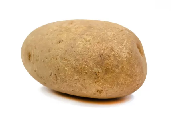 Whole Potatoe isolated above white background