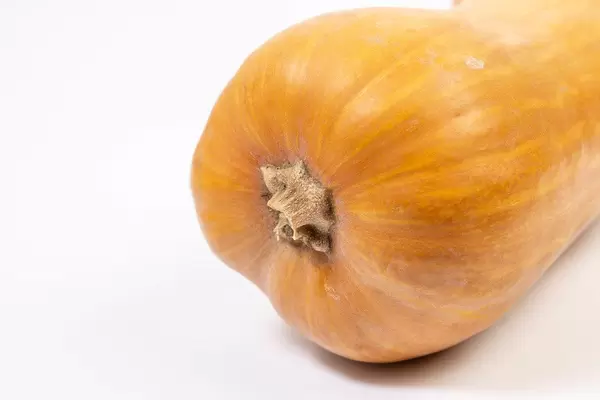 Whole Pumpkin above white background (Flip 2019)