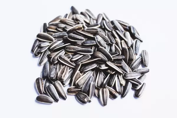 Whole raw sunflower seeds on white background