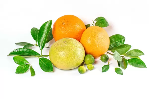 Whole ripe citrus fruits with branches