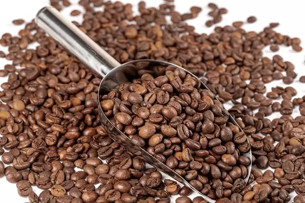 Whole roasted coffee beans background with metal scoop