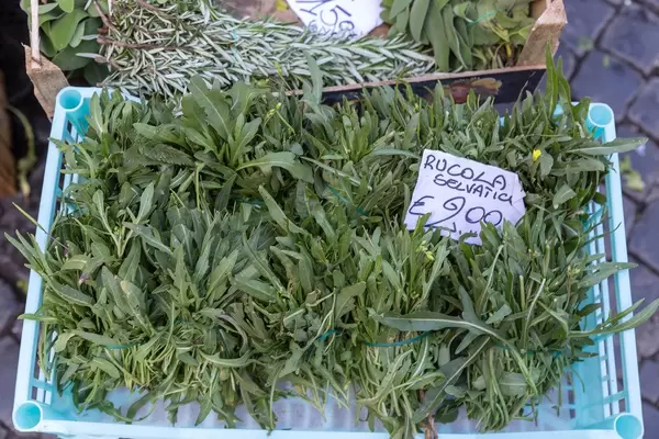 Wilder Rucola auf dem Markt in Rom