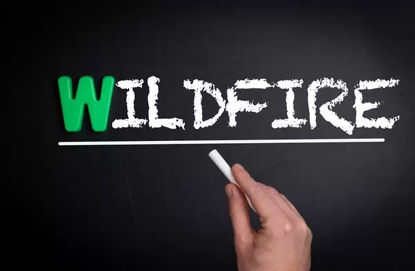 Wildfire text on blackboard