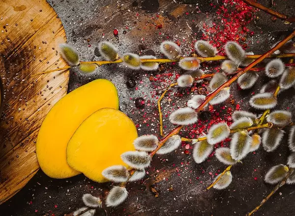 Willows Salix With Mango Seeds On Rustic Metalic Background