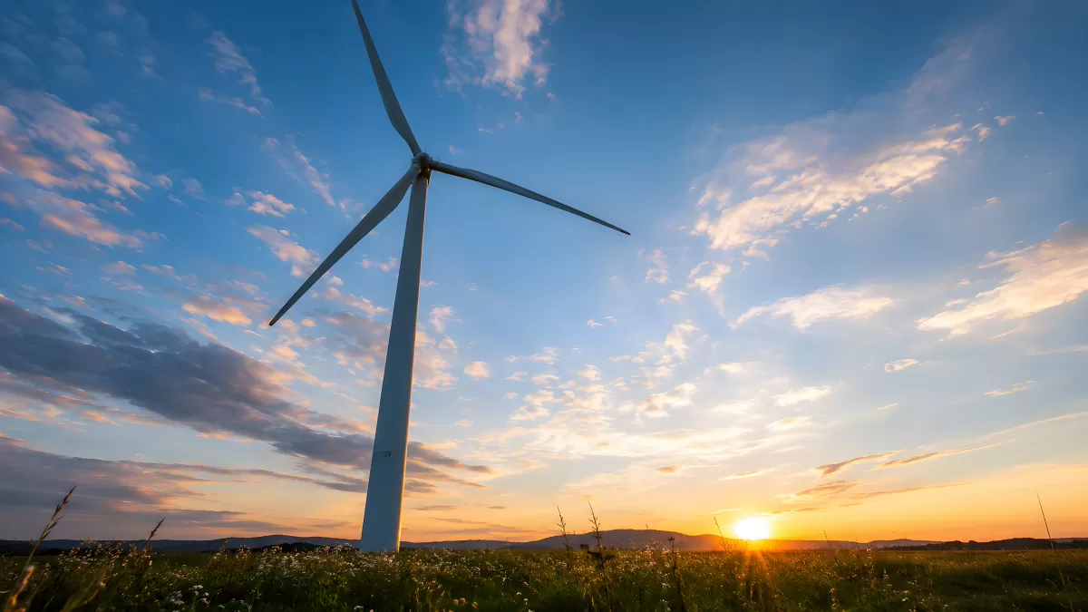 Windkraftanlage im Sonnenuntergang auf blühender Wiese