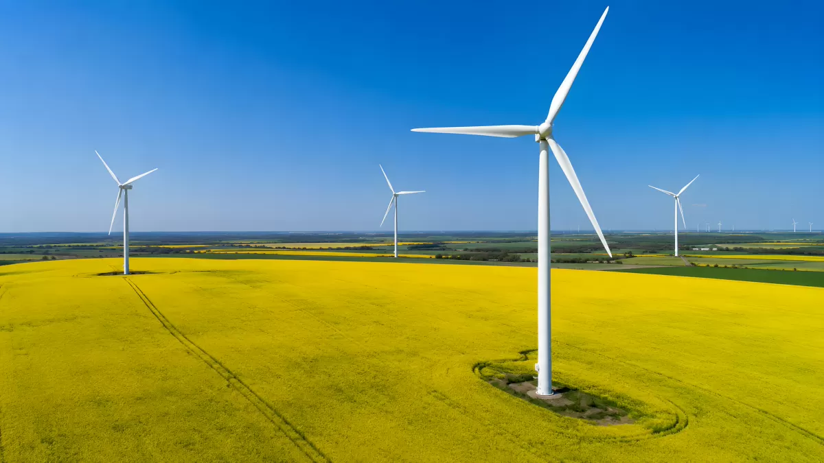 Windräder über leuchtend gelbem Rapsfeld im Sommer