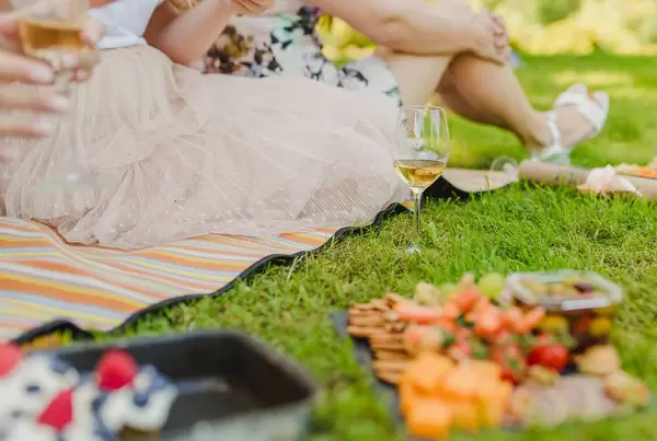 Wine Glass On The Grass - Picnic Time
