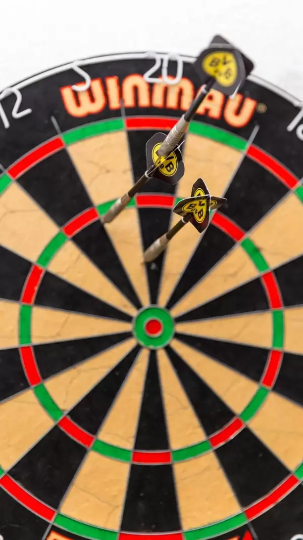 Winmau dartboard with BVB darts