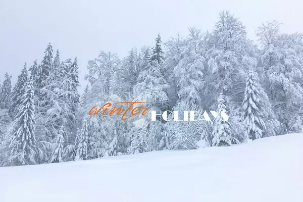 Winter holidays