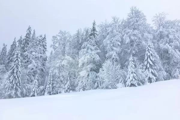 Winter in den Bergen