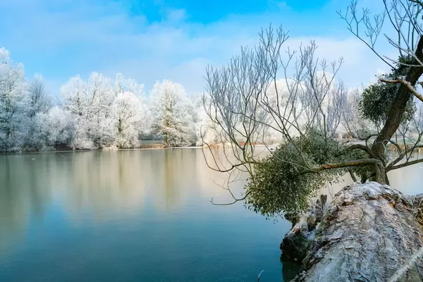 Winter park reflection in a frozen lake