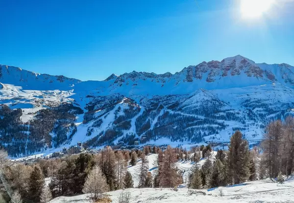 Winter snowy landscape  Flip 2019