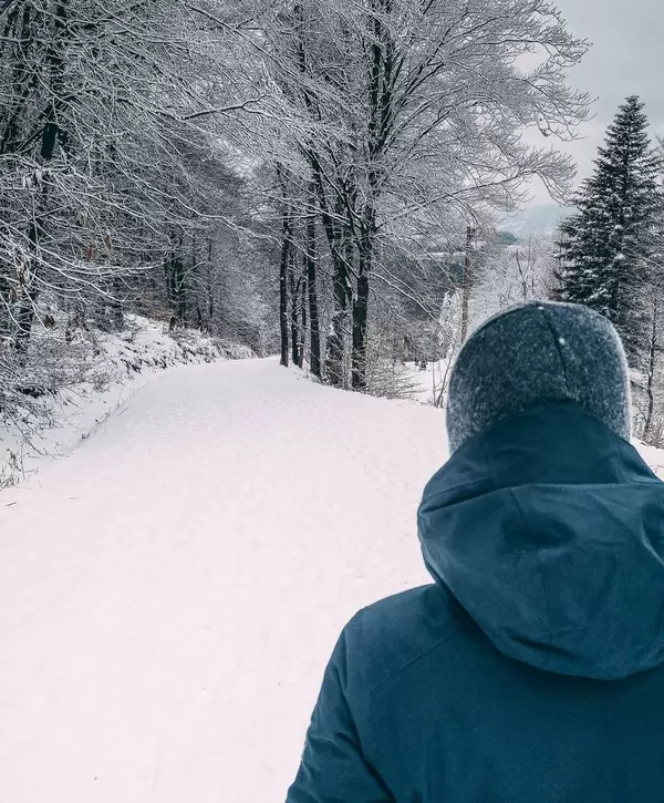 Winter walk in fresh snow