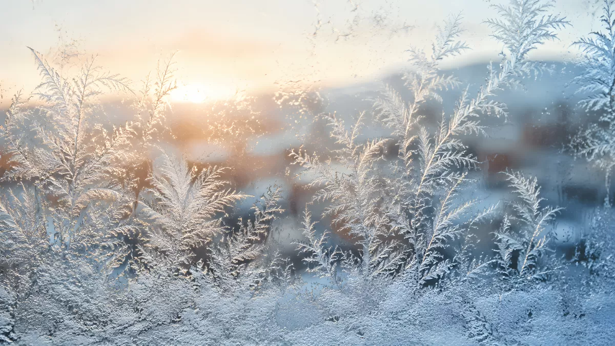 Winterliche Eisblumen auf der Fensterscheibe