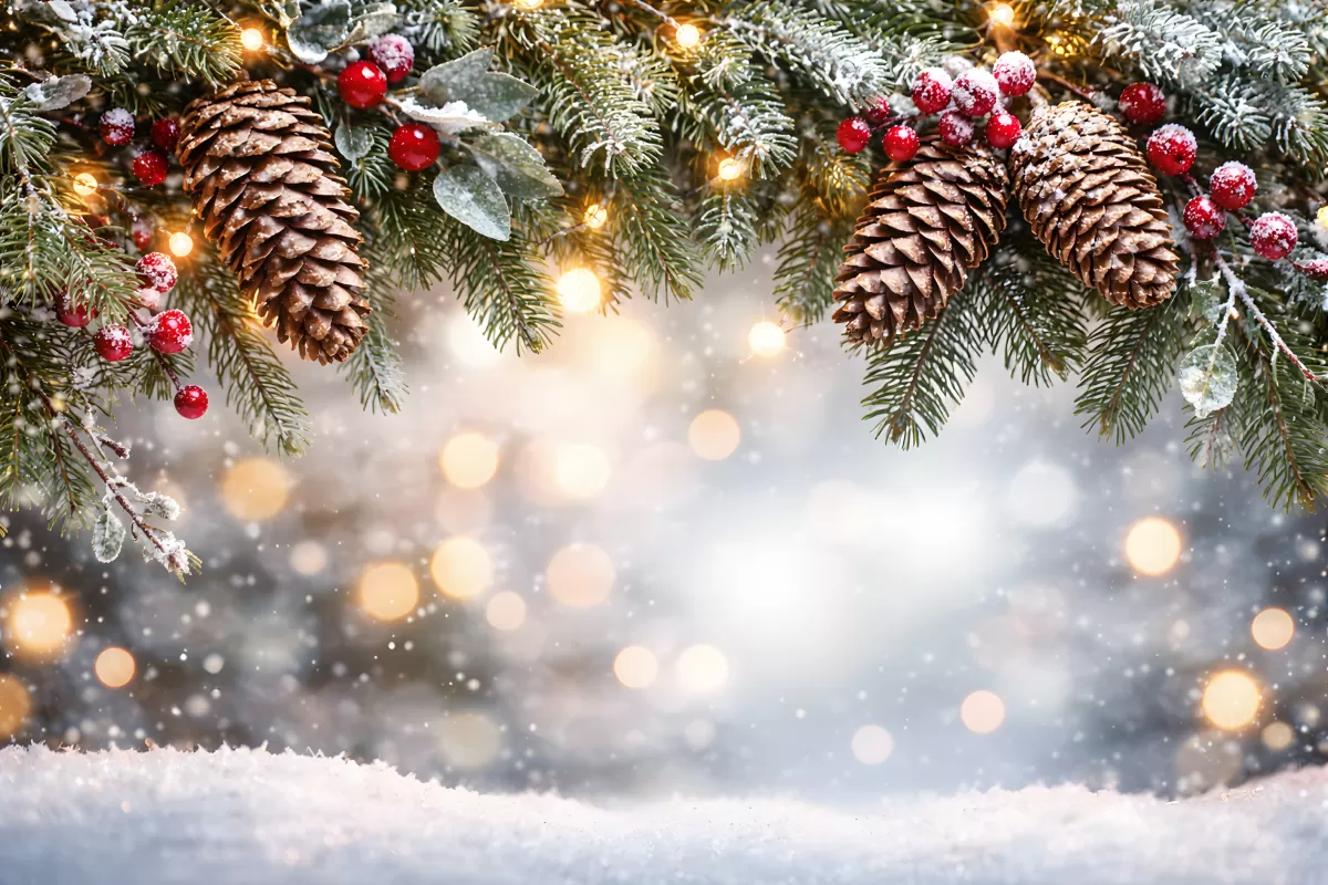 Winterliche Weihnachtsdekoration mit Tannenzweigen und Beeren