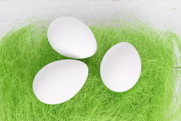 With eggs laying on a grass