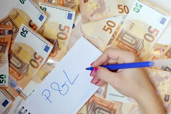 Woman hand writing P&L, 50 Euro banknote background