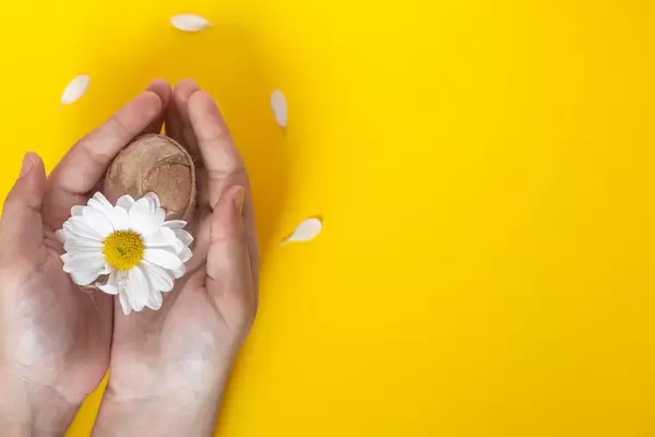 Woman's hand holding decorated Easter egg with a white flower on the bright yellow background