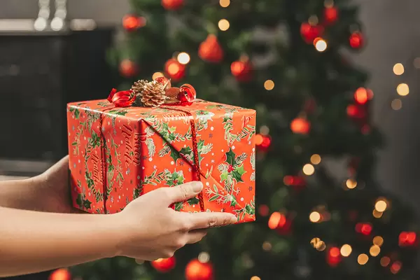 Woman's hands hold packed christmas gift