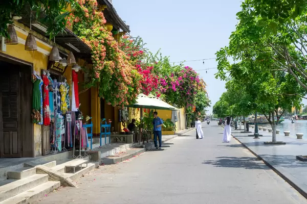 Women in Traditional Vietnamese Dress Ao Dai taking Pictures at Beautiful Trees in the Old Town of Hoi An, Vietnam