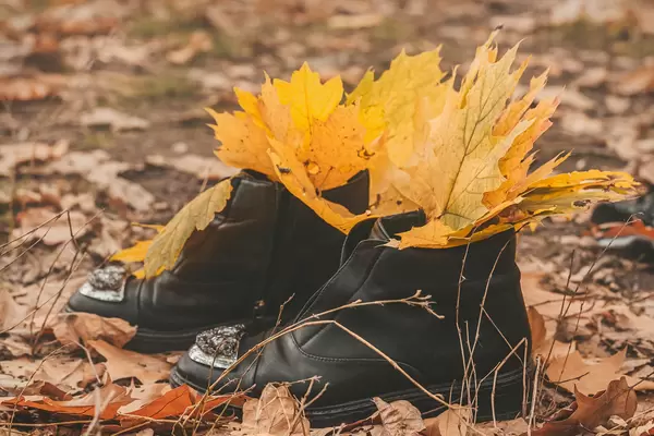 Women's shoes with autumn yellow leaves