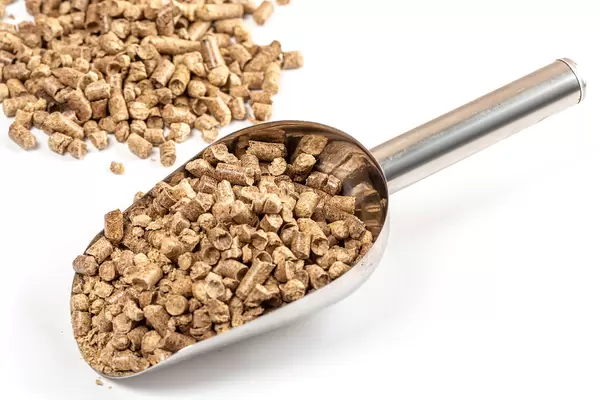Wood pellets filler for pets toilets with scoop on white