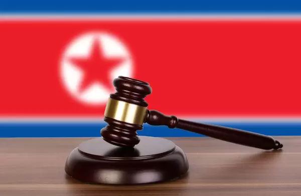 Wooden gavel and flag of North Korea