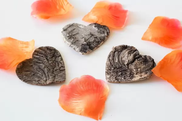 Wooden hearts with flower leaves