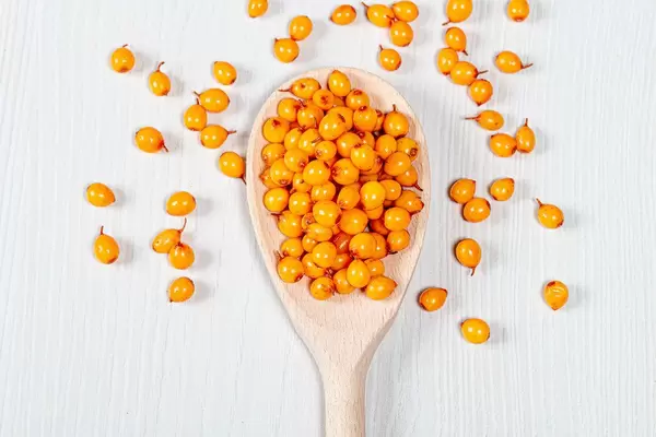 Wooden spoon with ripe fresh sea buckthorn berries. The view from the top (Flip 2019)