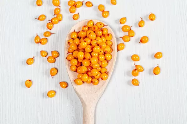 Wooden spoon with ripe fresh sea buckthorn berries. The view from the top