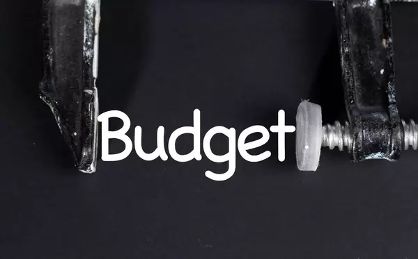 Word Budget inside the vice tool