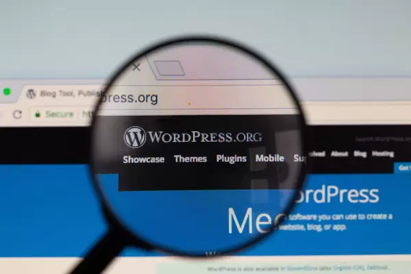 Wordpress logo on a computer screen with a magnifying glass