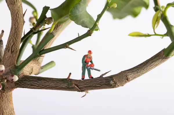Worker with a chainsaw on a tree