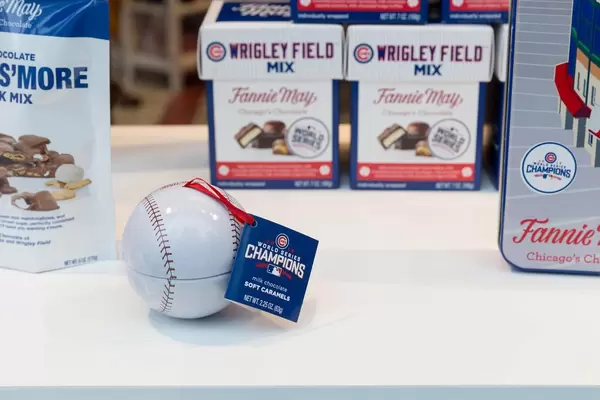 World Series Champions Baseball-Ball
