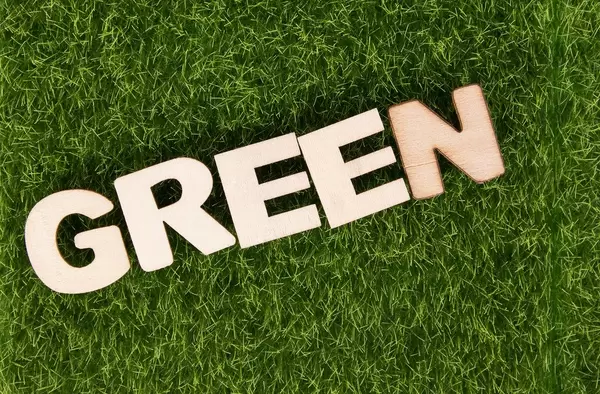 Wort GREEN (grün) aus Holzbuchstaben liegt auf Wiese