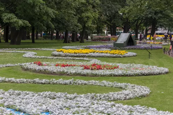 Wunderschöne Blumen im Alexandergarten in Sankt Petersburg