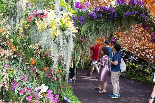 Wunderschöner Blumengarten in Singapur