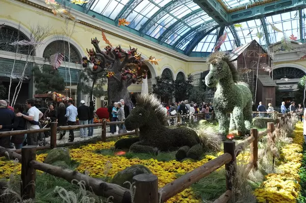 Wunderschöner indoor Herbstgarten in San Francisco