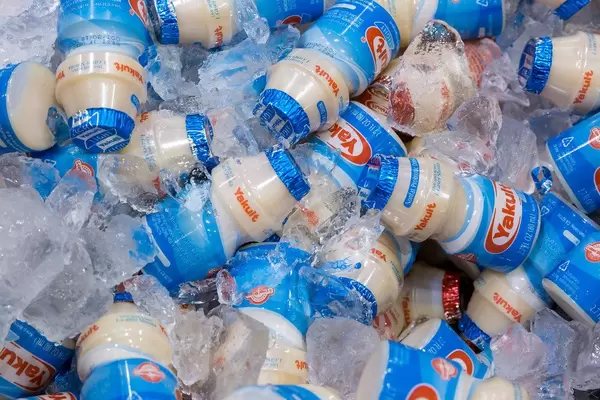Yakult Light: fettarmes probiotisches Getränk in Plastikflaschen auf Eis